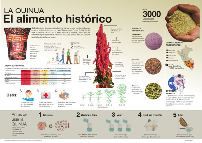 Infografía La Quinua El alimento histórico Debbie Morales Quinua