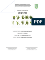 Las plantas: clasificación, características y usos