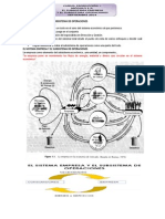 El Sistema Empresa y El Subsistema de Operaciones