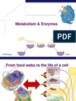 Metabolism & Enzymes: AP Biology