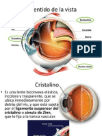 Sentido de La Vista - Cristalino y Esclerótica