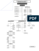 Organigrama estructural