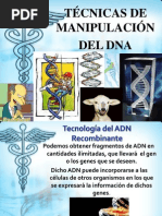 Manipulacion Del DNA