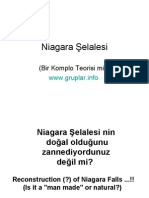 Niagara Yapay Mı