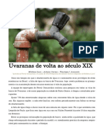 Uvaranas de volta ao Século XIX