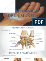 Biomecánica de La Muñeca 