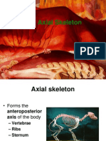 Axial Skeleton I 2013 JNC