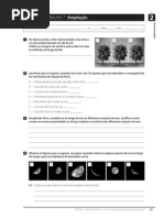 FQ Ficha Trabalho7 7C,D-F