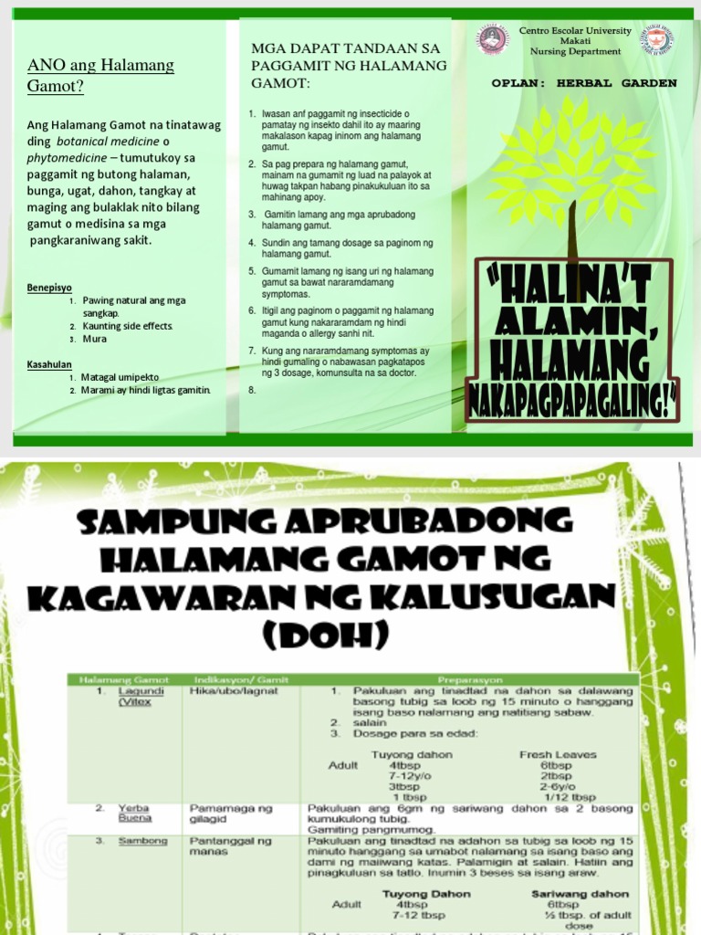 Pamphlet Halaman