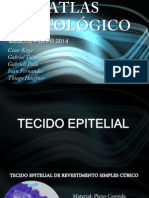 Atlas Histologia 1º Período