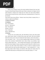 Download Kumis kucing by Fithri Wulandhani SN252141956 doc pdf