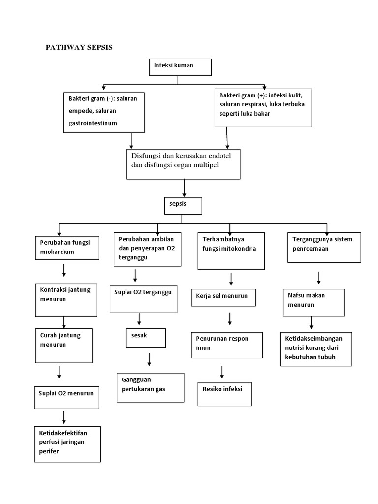 Pathway Sepsis dan Infeksi Bakteri | PDF | Sains & Matematika