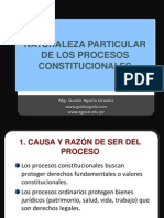 Naturaleza de Los Procesos Constitucionales