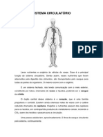 Sistema Circulatório