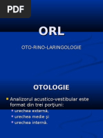 Download Oto Rino Laringologie by genuturo8961 SN25215980 doc pdf