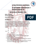 Practica Triac Autoguardado