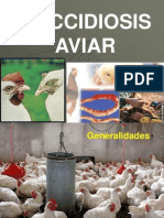 Coccidiosis aviar: causas, ciclo de vida, síntomas y métodos de control