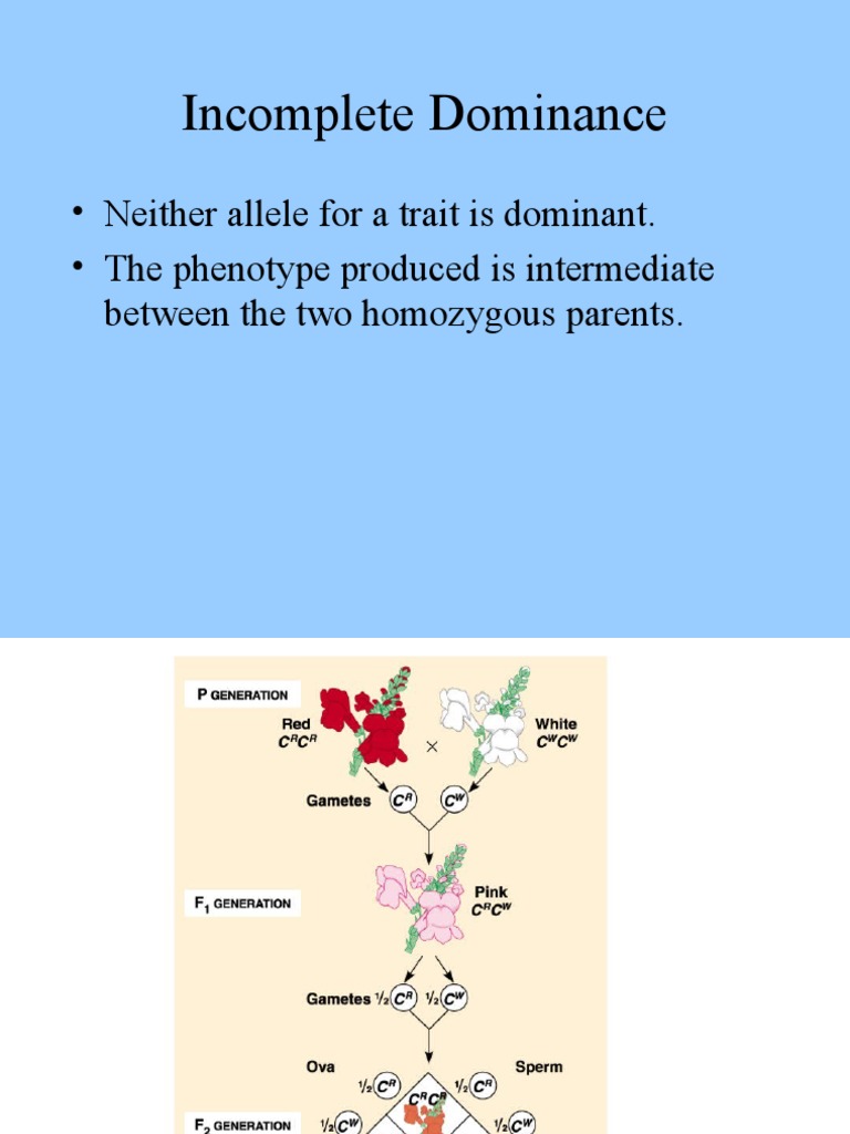 Genetic Inheritance: Types and Disorders | PDF | Science & Mathematics