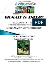 Paulownia Biomass Projects