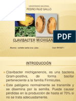 CLAvibacter Michiganensis