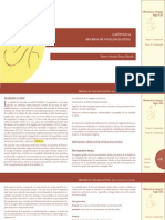 Pruebas de Bienestar Fetal