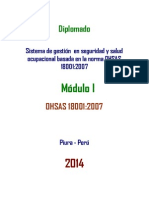 Modulo_I_OHSAS_18001_2007