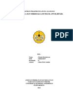 Download laporan algologi  by Dennis Kurniawan SN252191716 doc pdf