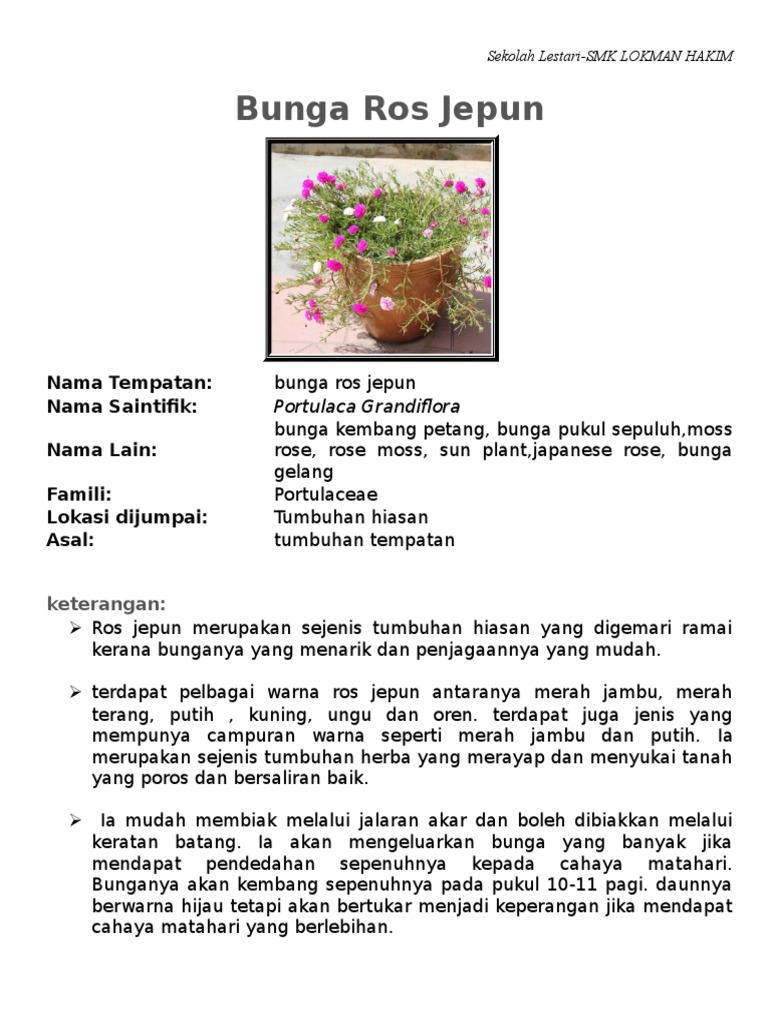 Bunga Ros Jepun Doc