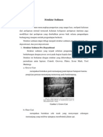 Struktur Sedimen