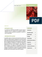 PAE Apendicitis