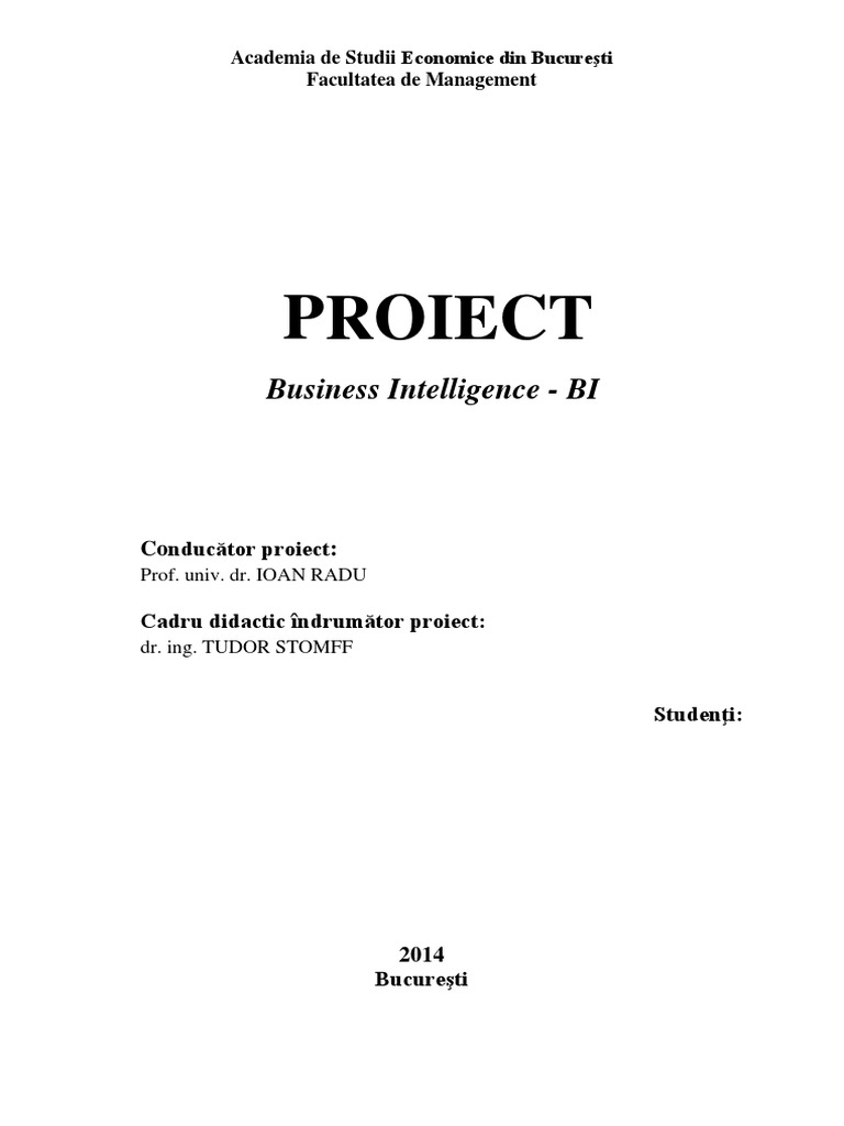 Business Intelligence | PDF