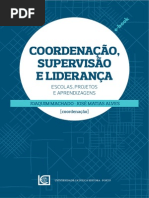 Coordenaçao Supervisao Liderança