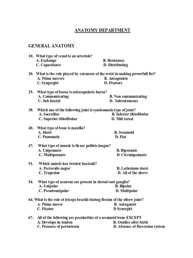 Anatomy Question Paper Ist Periodical 2013 Elbow Anatomy