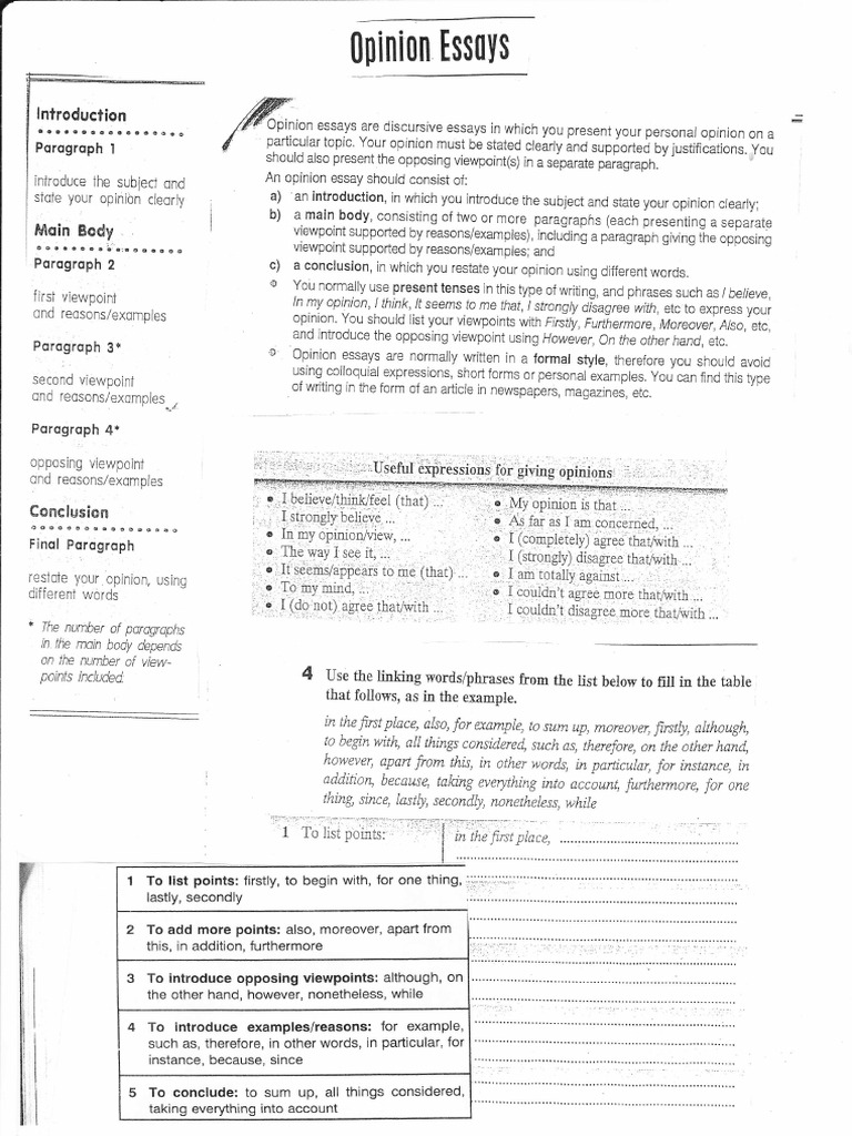 Essay about nutrition 500 words picture