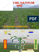 Plagas Del Maíz - Sorgo - Caña 2013