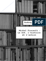 Foucault Et Le Gip