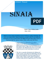 Proiect - Sinaia Presentation