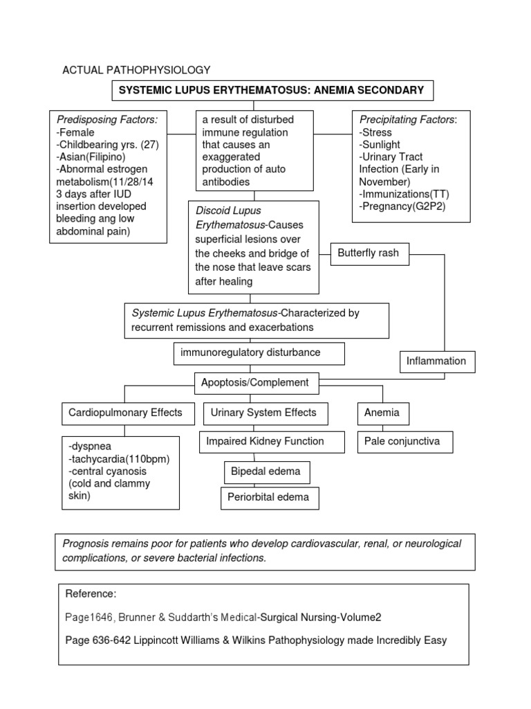 Systemic Lupus Erythematosus Actual Pathophysiology | PDF | Medical ...