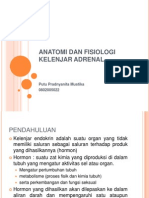 Anatomi Dan Fisiologi Kelenjar Adrenal