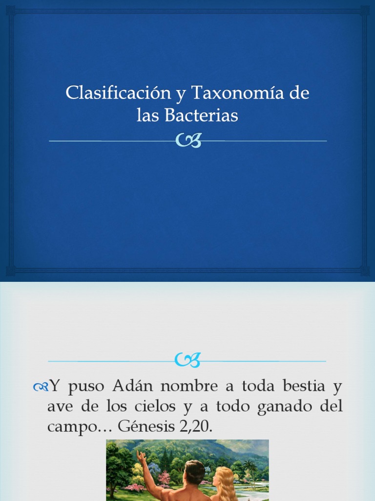 01 Clasificación y Taxonomía de Las Bacterias Biología