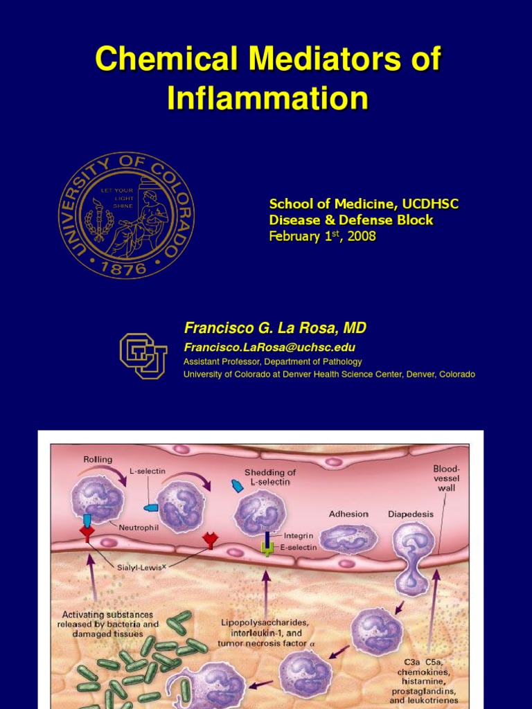  Chemical Mediators in Inflammation Prostaglandin Inflammation