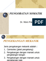 Pengobatan Somatik