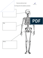 HO28 Fracture Activity Sheet Skeleton Protection