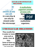 A Unicellular Organism Consists of Only One Cell