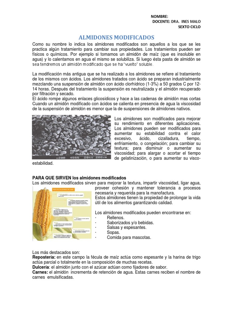 Almidones Modificados | Almidón | Maíz