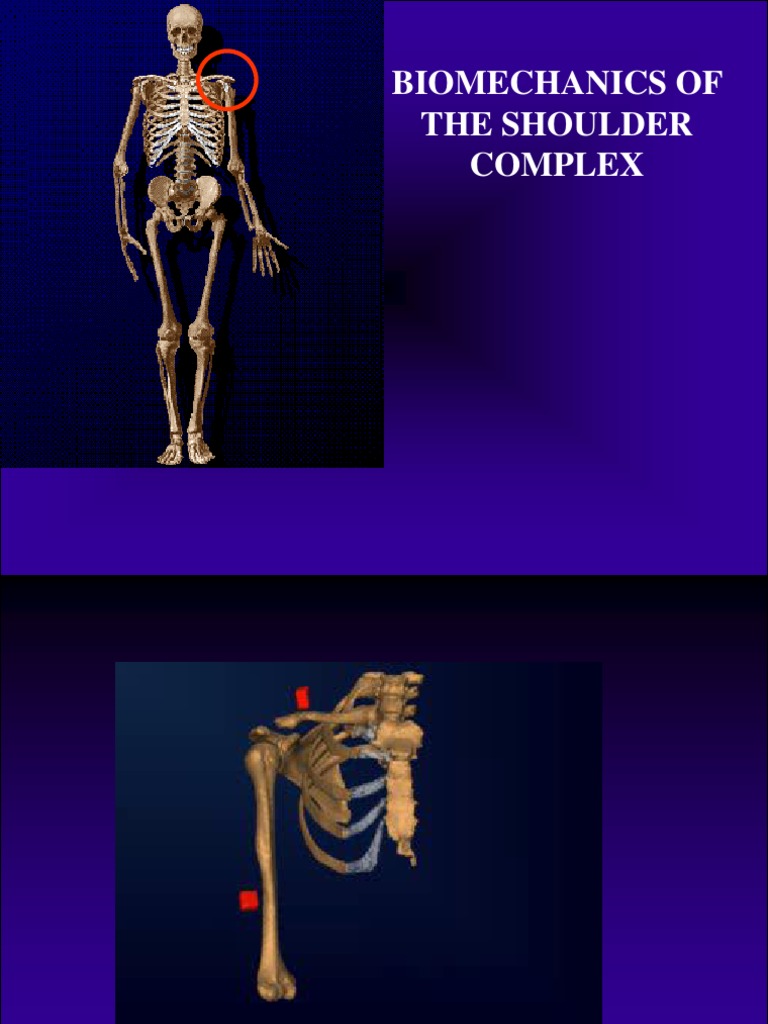 Shoulder Complex Biomechanics Overview | PDF | Shoulder | Anatomical ...