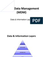 Master Data Management -Data and Inforrmation Layers1b