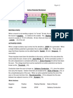 Action Potential Worksheet