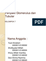 Glomerulus Dan Tubular