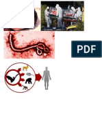 Ebola Images